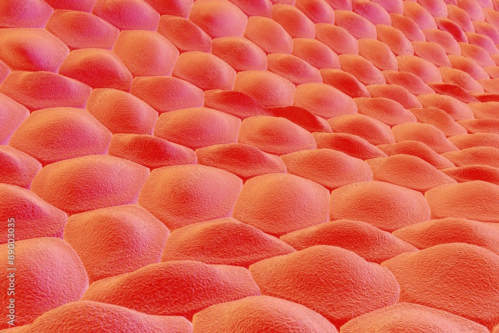Dead skin cells decrease air pollution