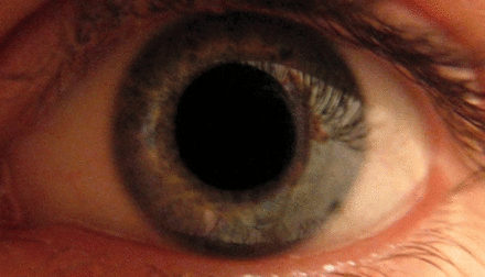 Your pupils expand when you see someone you love.