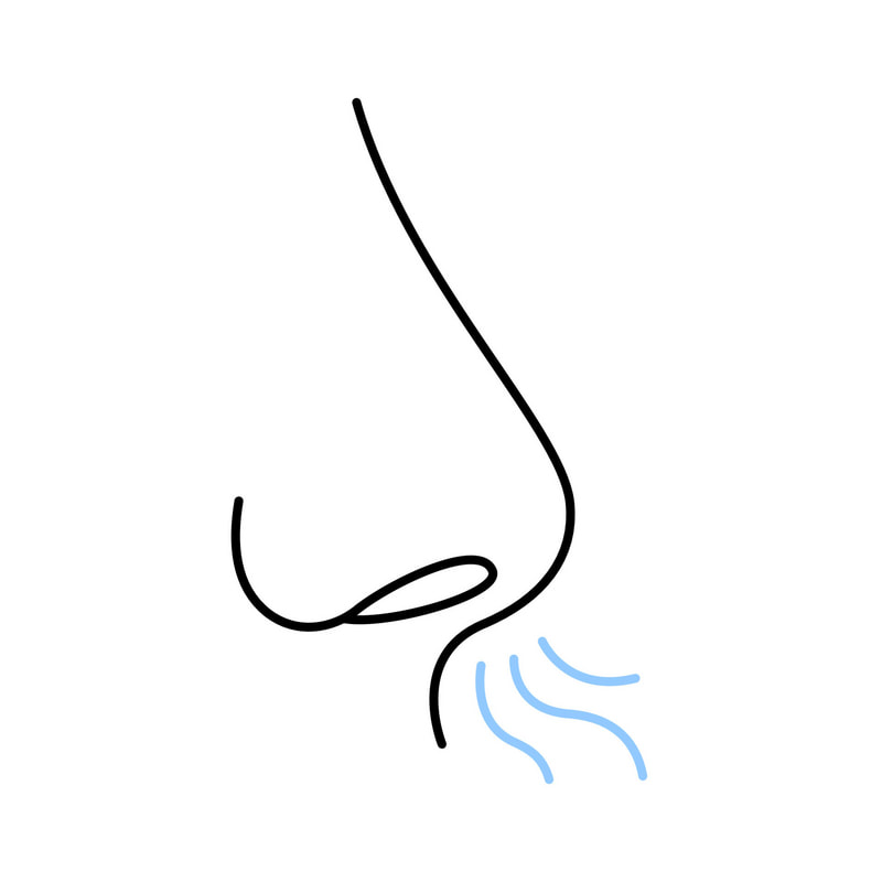 We mainly breathe out of one nostril