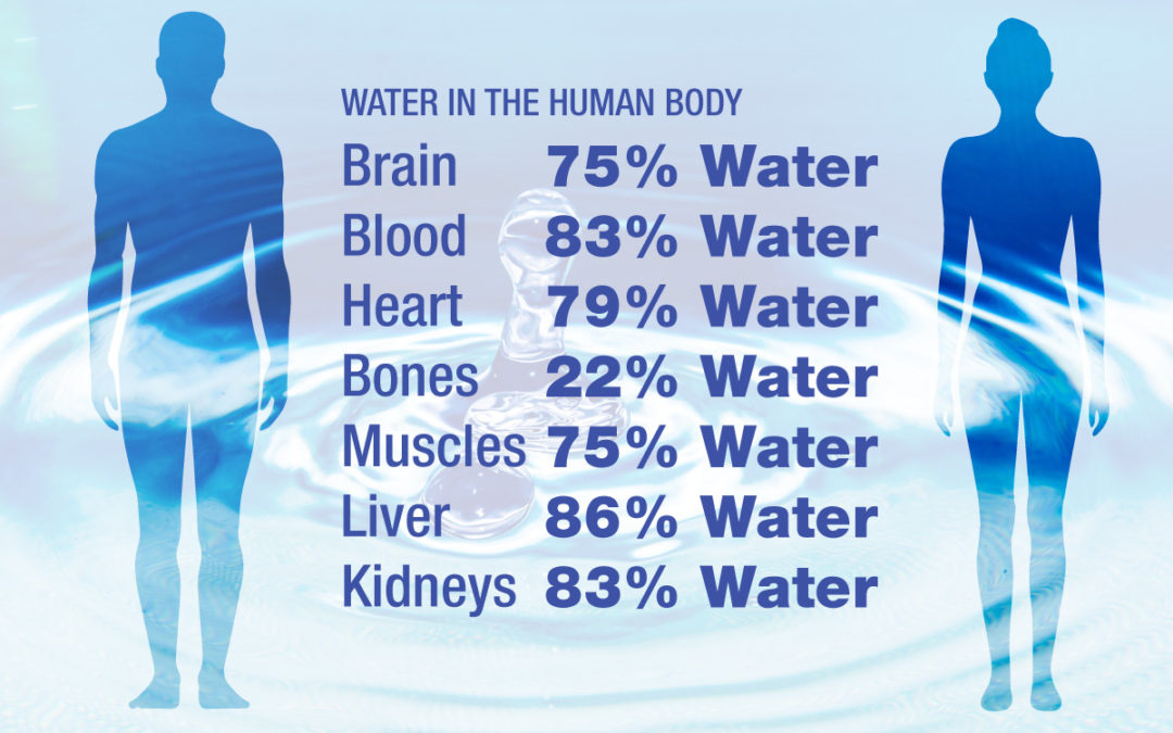 About 60% of the human body is made up of water