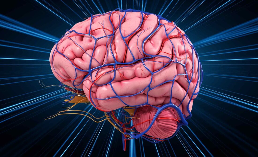 The brain can identify images in as little as 13 milliseconds